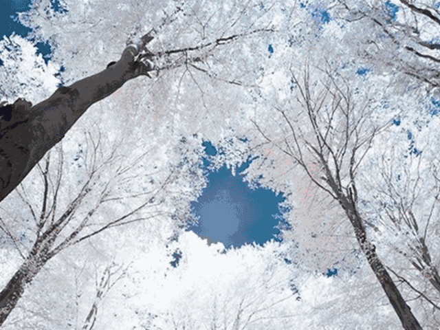 ���ʹ���(�й�)���޹�˾