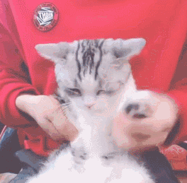 ���ʹ���(�й�)���޹�˾