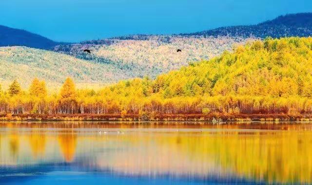 ���ʹ���(�й�)���޹�˾