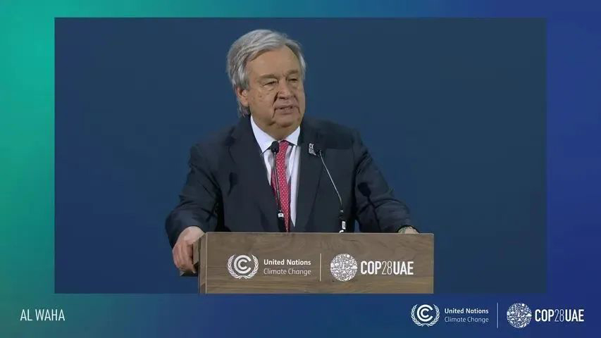 ���ʹ���(�й�)���޹�˾