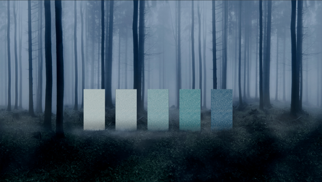 ÃÀ²Ê¹ú¼Ê(Öйú)ÓÐÏÞ¹«Ë¾