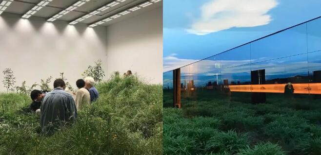 ÃÀ²Ê¹ú¼Ê(Öйú)ÓÐÏÞ¹«Ë¾