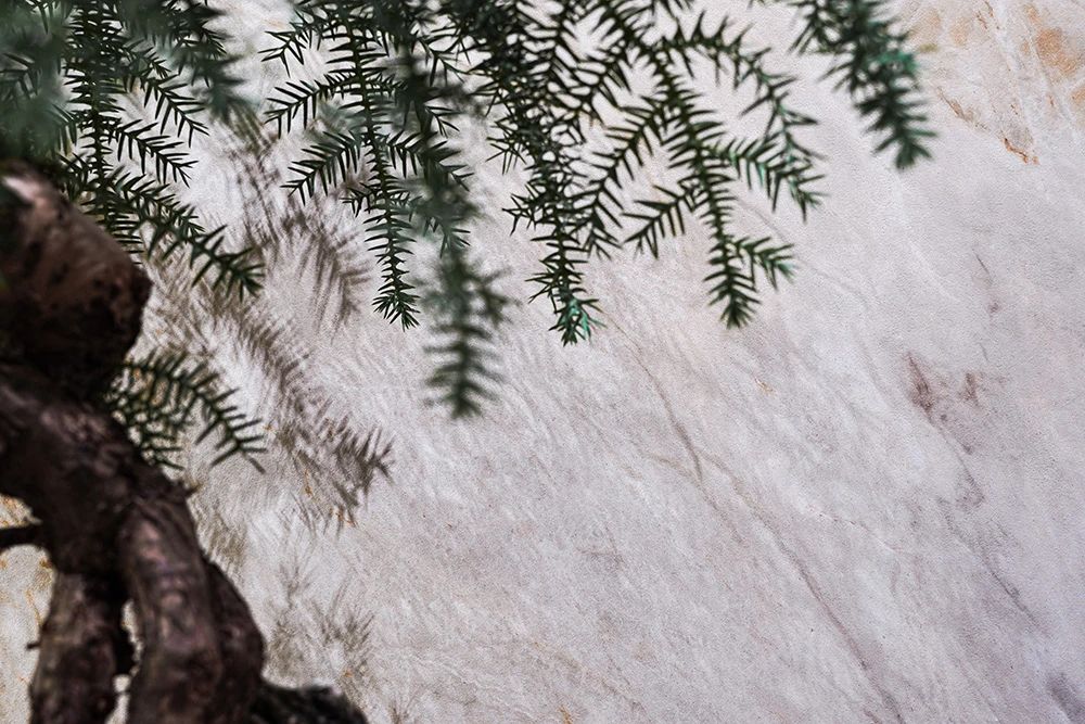 ���ʹ���(�й�)���޹�˾