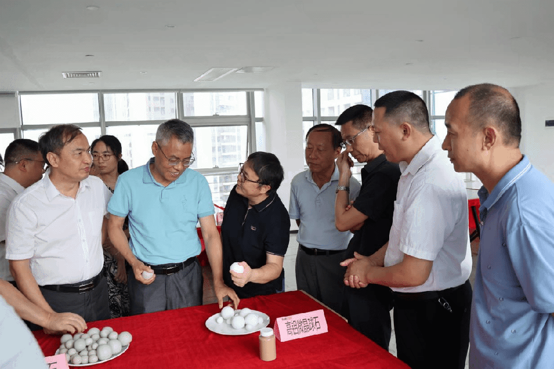 ���ʹ���(�й�)���޹�˾