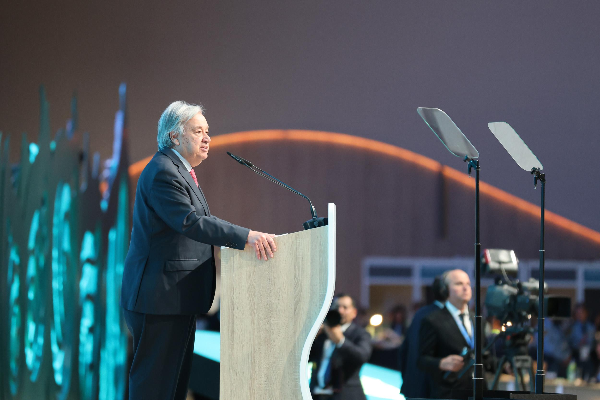 ÃÀ²Ê¹ú¼Ê(Öйú)ÓÐÏÞ¹«Ë¾